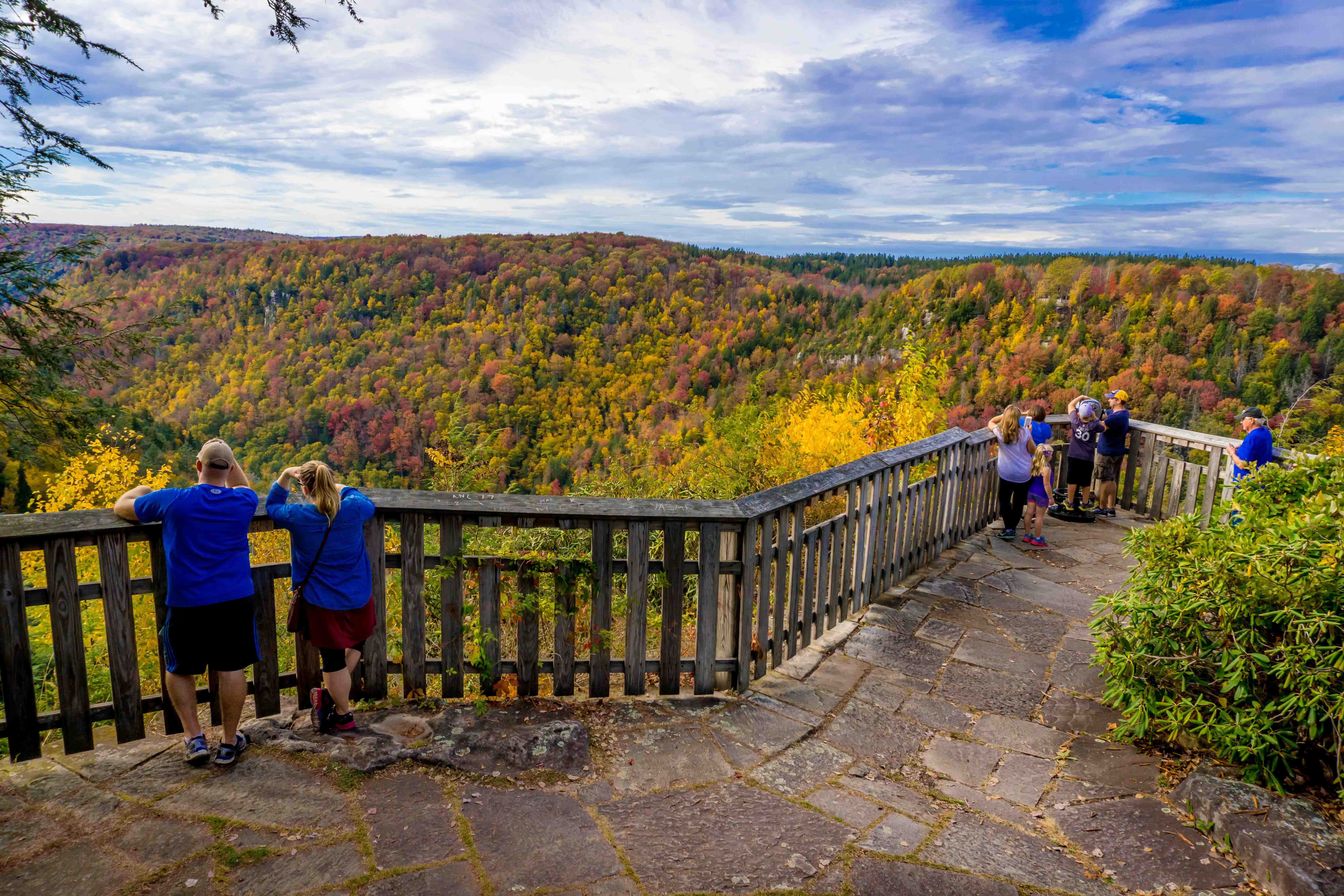 Fall Foliage peaks color in the Blackwater Canyon at Blackwater Falls State Park, West Virginia.