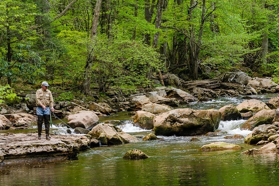 Fishing trout in Otter Creek, West Virginia